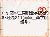 广东南华工商职业学院是985还是211(南华工商学院级别)