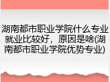 湖南都市职业学院什么专业就业比较好，原因是啥(湖南都市职业学院优势专业)