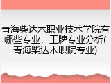 青海柴达木职业技术学院有哪些专业，王牌专业分析(青海柴达木职院专业)