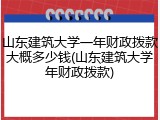 山东建筑大学一年财政拨款大概多少钱(山东建筑大学年财政拨款)