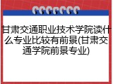 甘肃交通职业技术学院读什么专业比较有前景(甘肃交通学院前景专业)