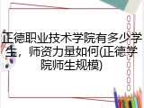 正德职业技术学院有多少学生，师资力量如何(正德学院师生规模)