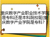 重庆数字产业职业技术学院是专科还是本科院校呢(重庆数字产业学院是专科？)