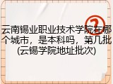 云南锡业职业技术学院在哪个城市，是本科吗，第几批(云锡学院地址批次)