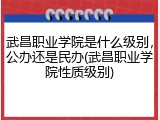 武昌职业学院是什么级别，公办还是民办(武昌职业学院性质级别)