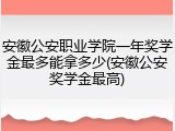 安徽公安职业学院一年奖学金最多能拿多少(安徽公安奖学金最高)