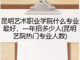 昆明艺术职业学院什么专业最好，一年招多少人(昆明艺院热门专业人数)