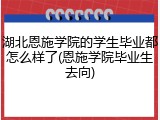 湖北恩施学院的学生毕业都怎么样了(恩施学院毕业生去向)