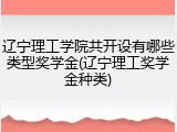 辽宁理工学院共开设有哪些类型奖学金(辽宁理工奖学金种类)