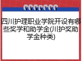 四川护理职业学院开设有哪些奖学和助学金(川护奖助学金种类)