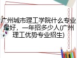 广州城市理工学院什么专业最好，一年招多少人(广州理工优势专业招生)