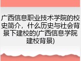 广西信息职业技术学院的校史简介，什么历史与社会背景下建校的(广西信息学院建校背景)