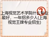 上海视觉艺术学院什么专业最好，一年招多少人(上海视觉王牌专业招生)