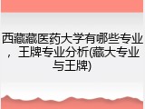 西藏藏医药大学有哪些专业，王牌专业分析(藏大专业与王牌)