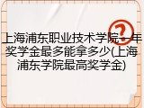 上海浦东职业技术学院一年奖学金最多能拿多少(上海浦东学院最高奖学金)