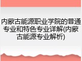 内蒙古能源职业学院的普通专业和特色专业详解(内蒙古能源专业解析)