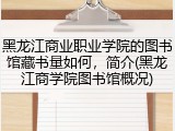黑龙江商业职业学院的图书馆藏书量如何，简介(黑龙江商学院图书馆概况)