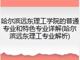 哈尔滨远东理工学院的普通专业和特色专业详解(哈尔滨远东理工专业解析)