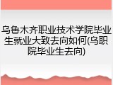 乌鲁木齐职业技术学院毕业生就业大致去向如何(乌职院毕业生去向)