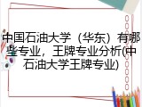 中国石油大学（华东）有哪些专业，王牌专业分析(中石油大学王牌专业)