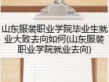 山东服装职业学院毕业生就业大致去向如何(山东服装职业学院就业去向)