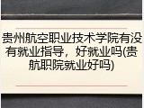 贵州航空职业技术学院有没有就业指导，好就业吗(贵航职院就业好吗)