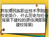 黔东南民族职业技术学院的校史简介，什么历史与社会背景下建校的(黔东南职院建校背景)
