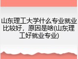山东理工大学什么专业就业比较好，原因是啥(山东理工好就业专业)