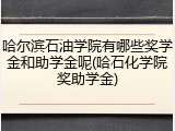 哈尔滨石油学院有哪些奖学金和助学金呢(哈石化学院奖助学金)