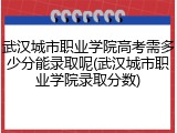 武汉城市职业学院高考需多少分能录取呢(武汉城市职业学院录取分数)