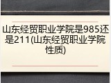山东经贸职业学院是985还是211(山东经贸职业学院性质)