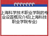 上海科学技术职业学院的专业设置概况介绍(上海科技职业学院专业)