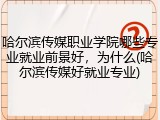 哈尔滨传媒职业学院哪些专业就业前景好，为什么(哈尔滨传媒好就业专业)