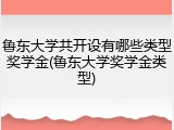 鲁东大学共开设有哪些类型奖学金(鲁东大学奖学金类型)