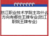 怒江职业技术学院主攻什么方向有哪些王牌专业(怒江职院王牌专业)