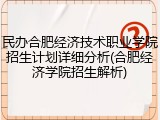 民办合肥经济技术职业学院招生计划详细分析(合肥经济学院招生解析)