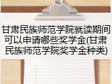 甘肃民族师范学院就读期间可以申请哪些奖学金(甘肃民族师范学院奖学金种类)