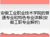 安徽工业职业技术学院的普通专业和特色专业详解(安徽工职专业解析)