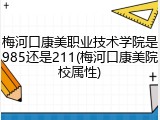 梅河口康美职业技术学院是985还是211(梅河口康美院校属性)