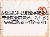安徽国防科技职业学院哪些专业就业前景好，为什么(安徽国防就业好的专业)
