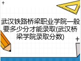 武汉铁路桥梁职业学院一般要多少分才能录取(武汉桥梁学院录取分数)