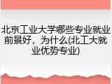北京工业大学哪些专业就业前景好，为什么(北工大就业优势专业)