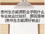 贵州生态能源职业学院什么专业就业比较好，原因是啥(贵州生态能源好就业)