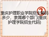 重庆护理职业学院招生编码多少，隶属哪个部门(重庆护理学院招生代码)