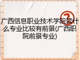 广西信息职业技术学院读什么专业比较有前景(广西职院前景专业)