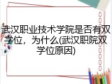 武汉职业技术学院是否有双学位，为什么(武汉职院双学位原因)