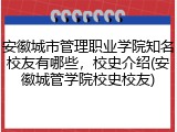 安徽城市管理职业学院知名校友有哪些，校史介绍(安徽城管学院校史校友)