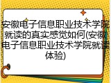 安徽电子信息职业技术学院就读的真实感觉如何(安徽电子信息职业技术学院就读体验)
