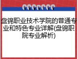 盘锦职业技术学院的普通专业和特色专业详解(盘锦职院专业解析)