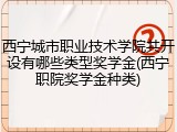 西宁城市职业技术学院共开设有哪些类型奖学金(西宁职院奖学金种类)